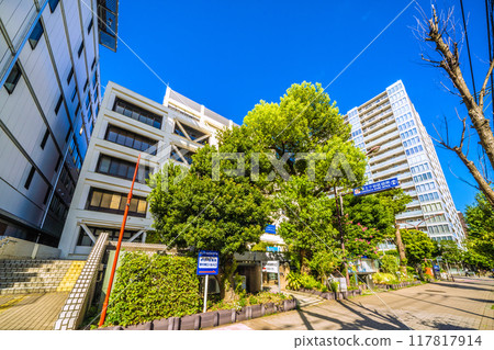Yokohama cityscape in Japan in August. SOTETSU Overlooking the Hodogaya Ward General Office in front of Hoshikawa Station = August 24, 2024 117817914
