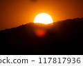 close up tree on mountain peak  sunset time. 117817936