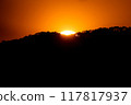 close up tree on mountain peak  sunset time. 117817937