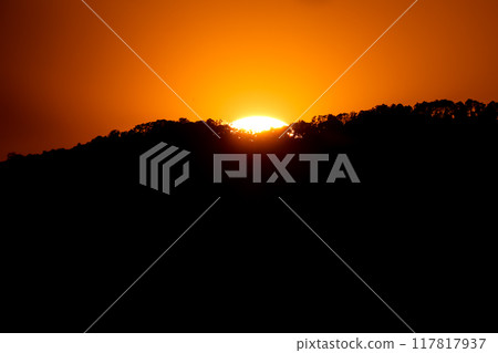 close up tree on mountain peak  sunset time. close up tree on mountain peak  sunset time. 117817937