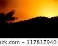 close up tree on mountain peak  sunset time. 117817940