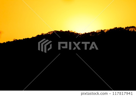close up tree on mountain peak sunset time. close up tree on mountain peak sunset time. 117817941