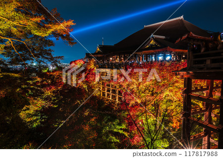 秋季燈火通明的清水寺 秋季燈火通明的清水寺 117817988
