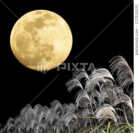 Background material for autumn night moon viewing with a full moon and silver grass 117818241