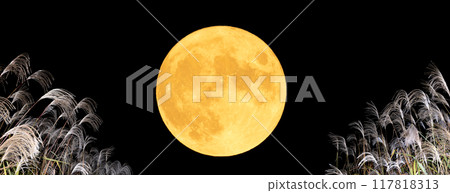 美麗的秋夜景觀，滿月和潘帕斯草。賞月背景素材 117818313