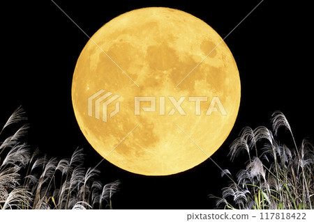 秋夜黑色背景中的滿月和潘帕斯草 秋夜黑色背景中的滿月和潘帕斯草 117818422