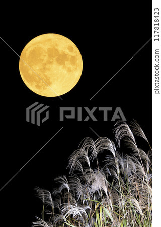 與滿月和潘帕斯草的秋天夜空風景 117818423