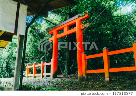 Cute deer in Nara 117818577