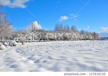 Kamisekigata Park in winter (Niigata Prefecture) Kamisekigata Park in winter (Niigata Prefecture) 117819150