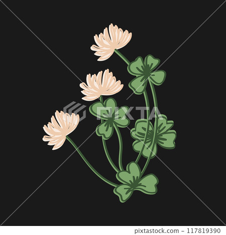 Four and three leaf clover and clover flower. Meadow plant. Vector isolated illustration Four and three leaf clover and clover flower. Meadow plant. Vector isolated illustration 117819390