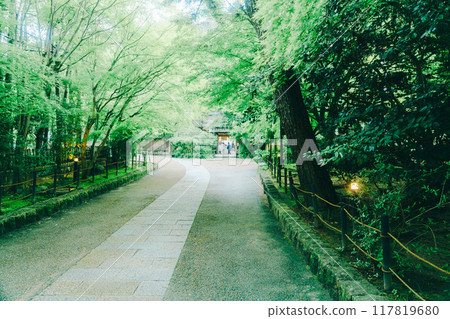 Scenery of Uji Shrine 117819680