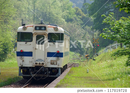 Kiha 40 series train departing from Kareigawa Station 117819728