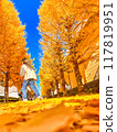 Ginkgo trees turning yellow in the autumn sky 3 117819951