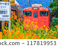 Cosmos and local trains 117819953