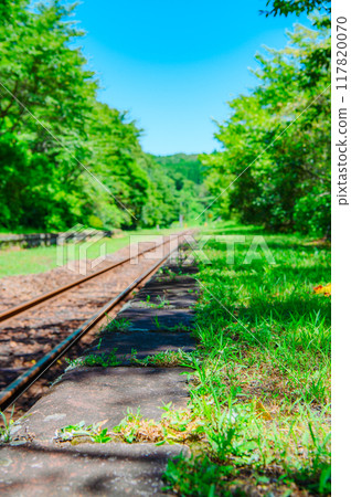 The tracks leading to my hometown 117820070