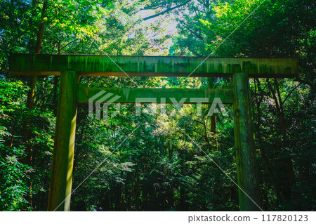 The outer shrine of Ise Shrine 117820123