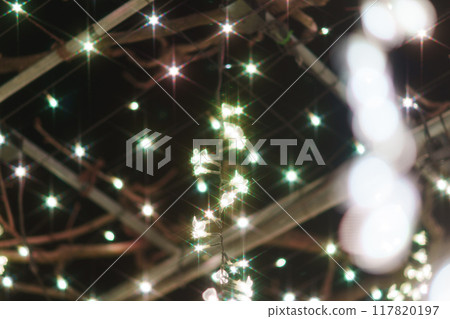 Ashikaga Christmas illuminations 117820197