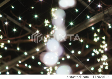 Ashikaga Christmas illuminations 117820198