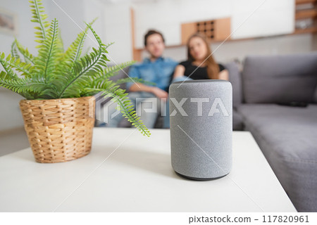 Couple using smart home speaker 117820961