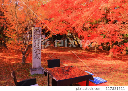 Autumn leaves in the front garden of Prince Shotoku's Palace, Seiryoji Temple (Ukyo Ward, Kyoto City) 117821311