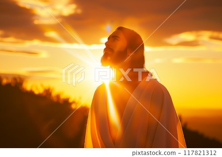 Silhouette in sunset resembling biblical figure 117821312
