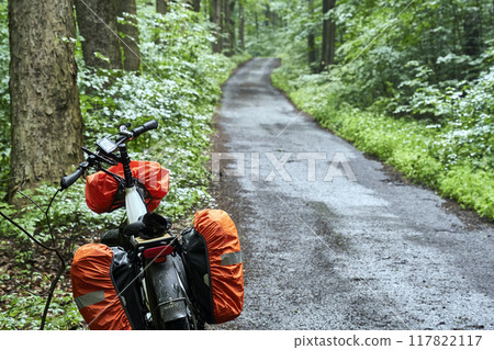 Heavy Touring Bike Equipped with Rain Cover on a Ride Through a Dense Forest in Czechia During a Cycling Trip 117822117
