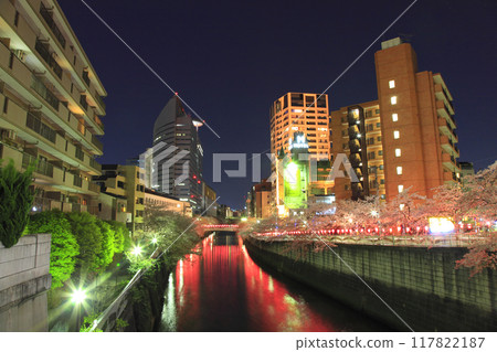 Megurogawa Sakura Festival Evening scenery 117822187