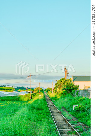 JR日本最南端的車站西大山站 117823704