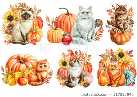 Autumn cat, pumpkins, dry leaves isolated background. Hand painted watercolor thanksgiving illustration realistic animal Autumn cat, pumpkins, dry leaves isolated background. Hand painted watercolor thanksgiving illustration realistic animal 117823945