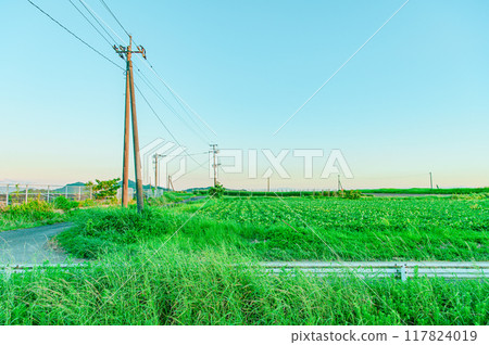 Kagoshima Ibusuki City Country Road Kagoshima Ibusuki City Country Road 117824019