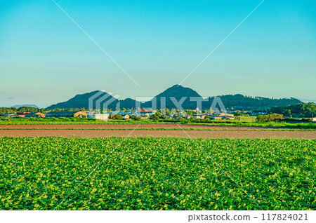 鹿兒島指宿市鄉村道路 117824021