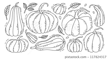 Pumpkin Doodle Set. Hand drawn Autumn Pumpkins. 117824317