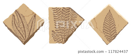 Prehistoric Plant fossil, ancient stone fern leaf imprint, ancient nature, paleontology science. Cartoon beige rock with silhouette of tropical jungle forest plant, Jurassic fern fossil. Vector set Prehistoric Plant fossil, ancient stone fern leaf imprint, ancient nature, paleontology science. Cartoon beige rock with silhouette of tropical jungle forest plant, Jurassic fern fossil. Vector set 117824437