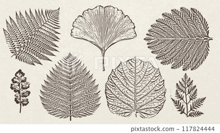 Collection of graphic prehistoric plants imprints isolated on vintage paper texture. Engraving prehistoric leaves. Vector illustrations set. Collection of graphic prehistoric plants imprints isolated on vintage paper texture. Engraving prehistoric leaves. Vector illustrations set. 117824444