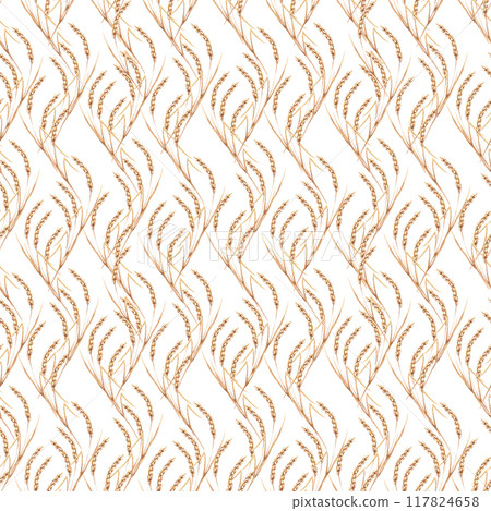 Thin ears of wheat in a seamless pattern on a white background. Watercolor illustration for the design of cereal products, bakeries, breweries, alcoholic beverages. Wheat harvest Thin ears of wheat in a seamless pattern on a white background. Watercolor illustration for the design of cereal products, bakeries, breweries, alcoholic beverages. Wheat harvest 117824658
