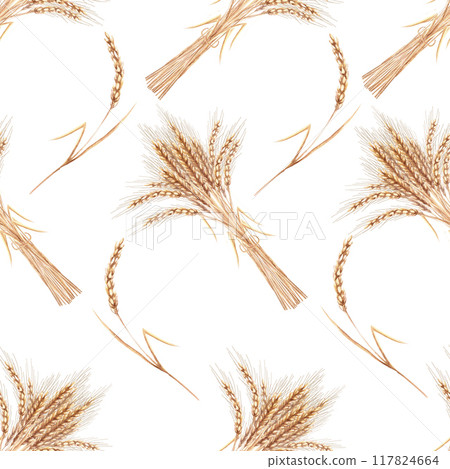Bundles of wheat ears in a seamless pattern on a white background. Watercolor illustration for design of cereal products, bakeries, breweries, alcoholic beverages 117824664