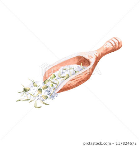 Wooden spoon with bath salt and chamomile inside in watercolor. Isolated from background illustration for pharmacy, spa, relax, handmade cosmetics, essences and skincare design Wooden spoon with bath salt and chamomile inside in watercolor. Isolated from background illustration for pharmacy, spa, relax, handmade cosmetics, essences and skincare design 117824672