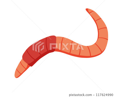 Worm bait. Slimy earthworm crawler. Cartoon earth creep. Cartoon insect animal. Invertebrate bug Worm bait. Slimy earthworm crawler. Cartoon earth creep. Cartoon insect animal. Invertebrate bug 117824990