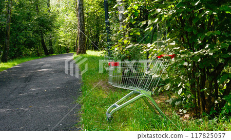 purchase store market shopping timber trolley shop supermarket sale business buy cart wood 117825057