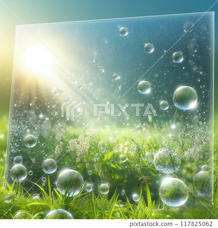 Soap bubbles floating on the grass 117825062