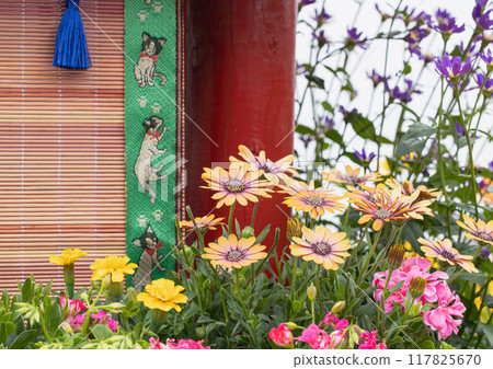 Park flowerbed: Margaret 117825670