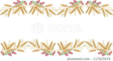 Wheat seamless border clipart with golden watercolor wheat stalks and ref cranberries for your designs. Ideal for use in digital and print projects, including cards, event decor and packaging Wheat seamless border clipart with golden watercolor wheat stalks and ref cranberries for your designs. Ideal for use in digital and print projects, including cards, event decor and packaging 117825679
