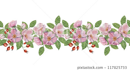 Wild rose seamless border with pink flowers, green leaves and red rosehips in watercolor, Romantic design for weddings, cards. Clipart for use in invitations, stationery, and home decor 117825733