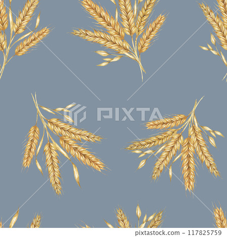 Wheat or barley golden cereal spikes backdrop for Thanksgiving, bakery, Shavuot. Seamless watercolor for fabric designs, nature-themed packaging, eco-conscious branding, and rustic home decor projects Wheat or barley golden cereal spikes backdrop for Thanksgiving, bakery, Shavuot. Seamless watercolor for fabric designs, nature-themed packaging, eco-conscious branding, and rustic home decor projects 117825759