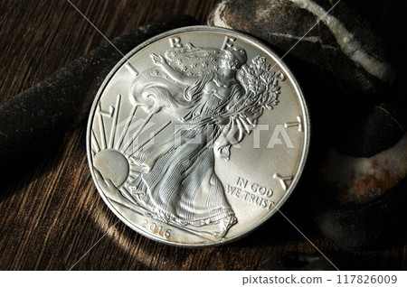 1 dollar United States investment silver coin. Pure silver coin Liberty. 1 dollar United States investment silver coin. Pure silver coin Liberty. 117826009