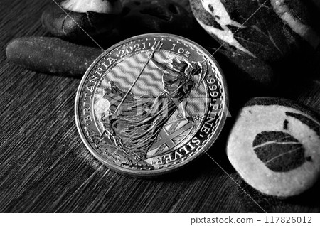 Black and white photo. 2 Pounds Britania 1 oz Fine silver coin 2021. Black and white photo. 2 Pounds Britania 1 oz Fine silver coin 2021. 117826012