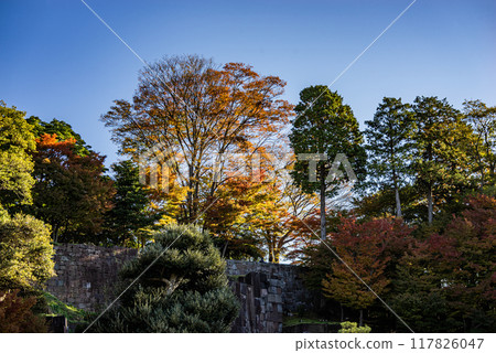 Autumn leaves in Kanazawa Castle 117826047