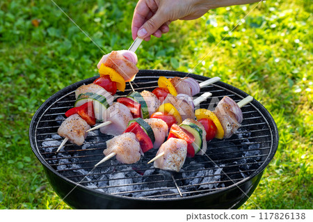 raw chicken and vegetable skewers 117826138