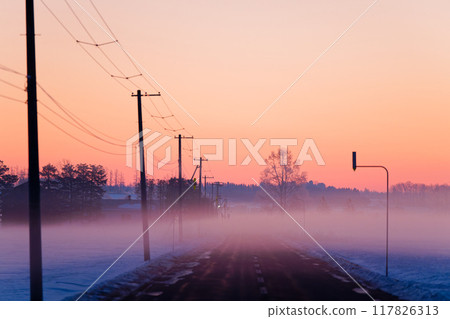 Winter morning 117826313