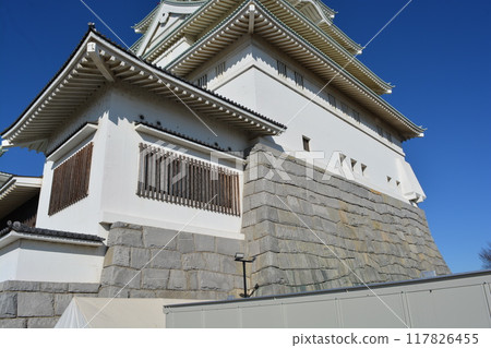 常總市地區交流中心豐田城(茨城縣) 常總市地區交流中心豐田城(茨城縣) 117826455